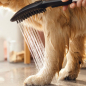 Preview: Hundebrause DogShower hansgrohe reinigt effektiv und sparsam den Hund