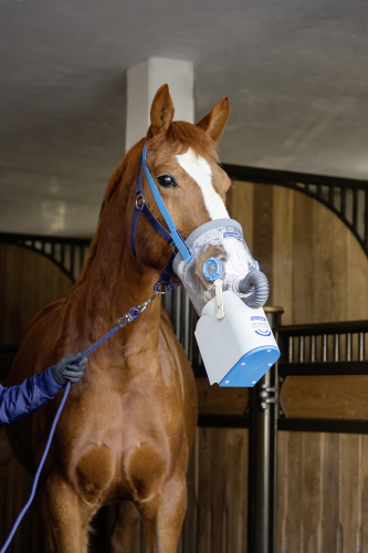 hippomed AirOne Flex effektive Inhalation kabellos für Ihr Pferd